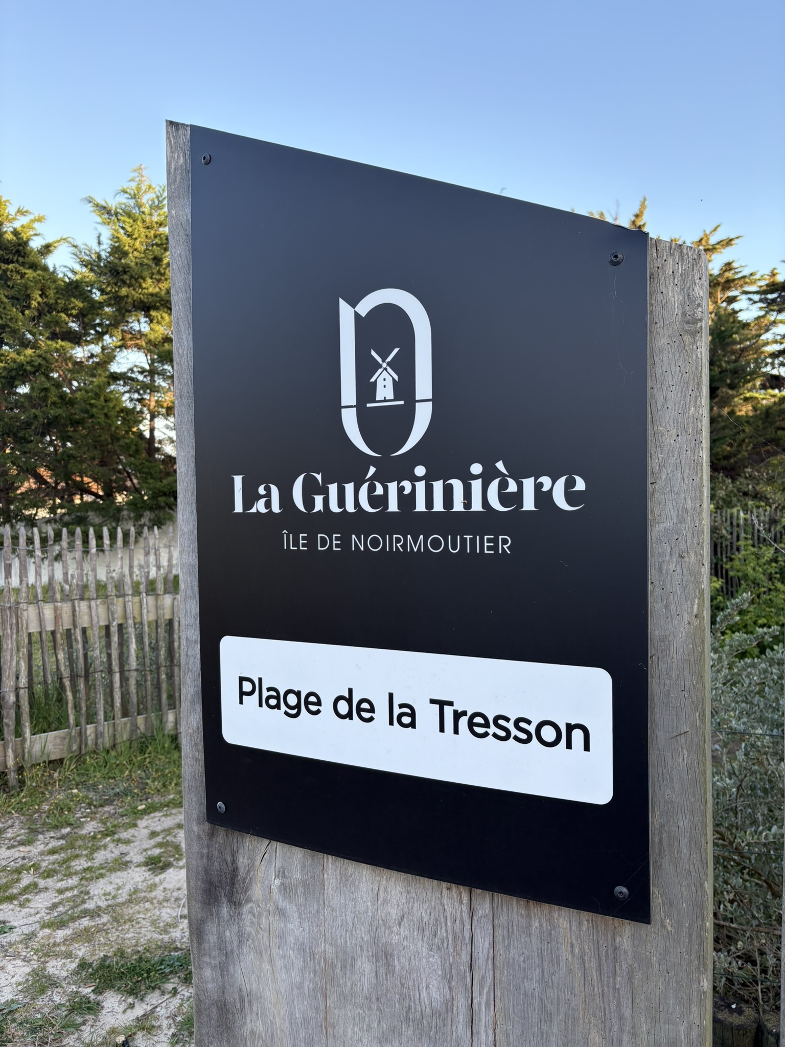 Plat avec rondelle de citron